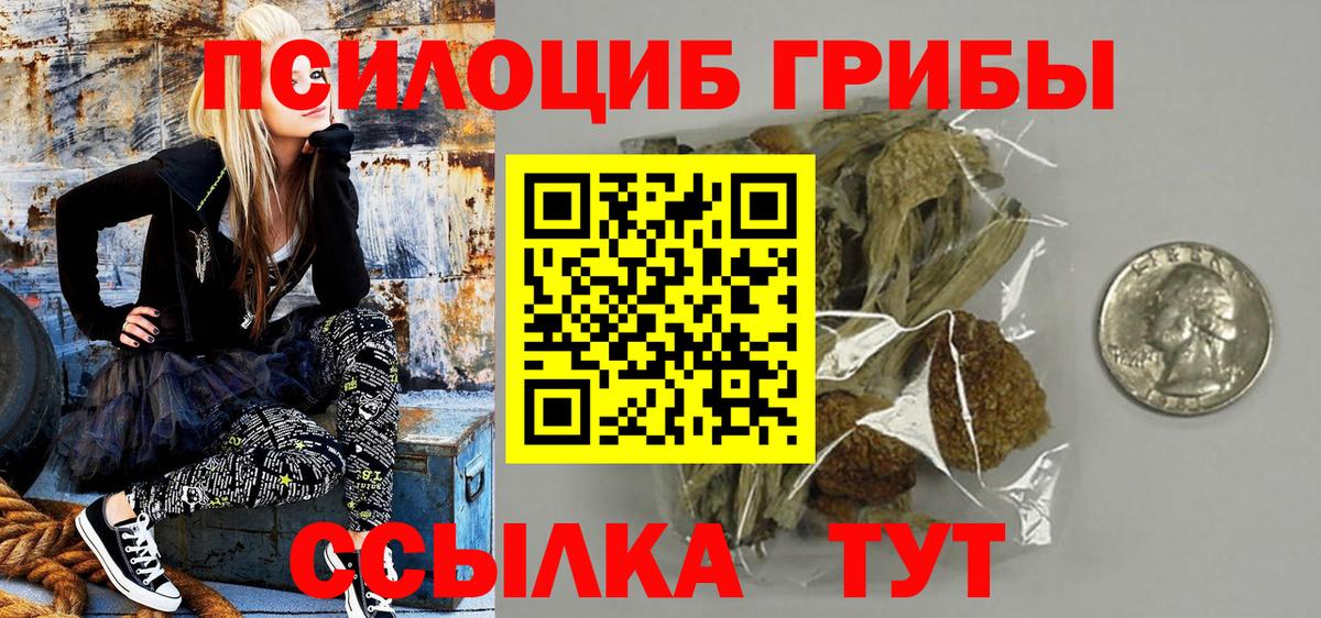 Псилоцибиновые грибы мицелий Спасск-Дальний