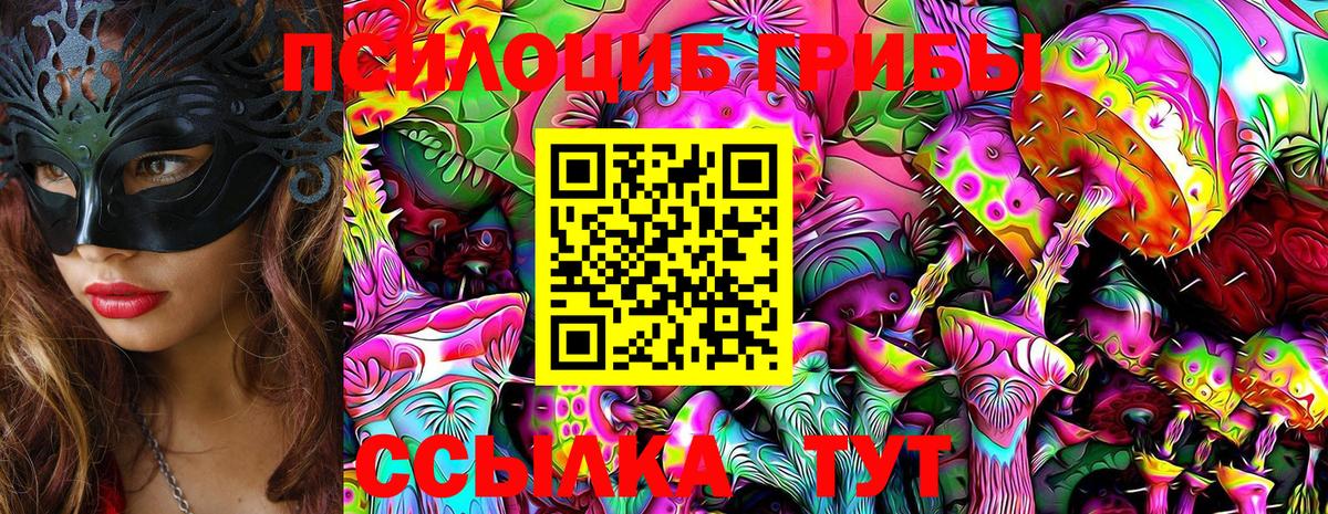 Спасск-Дальний  наркотики  Вход с VPN  Псилоцибиновые грибы Cubensis  Галлюциногенные грибы Psilocybine cubensis 